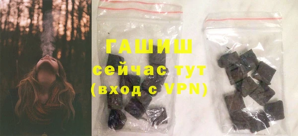 шишки Верея