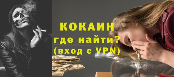 шишки Верея