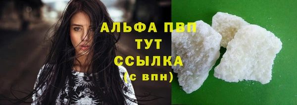 шишки Верея