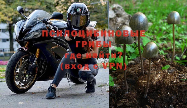 a pvp Верхний Тагил