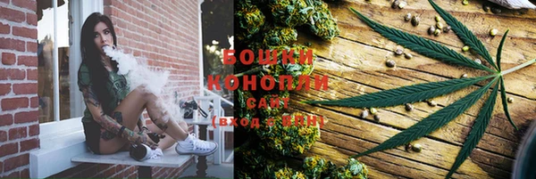 шишки Верея