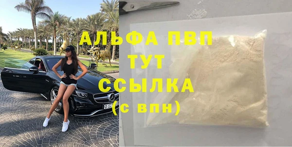 шишки Верея