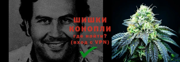 шишки Верея